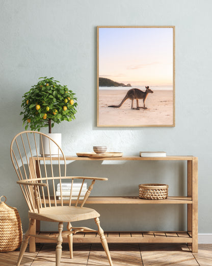 Kangaroo at Cape