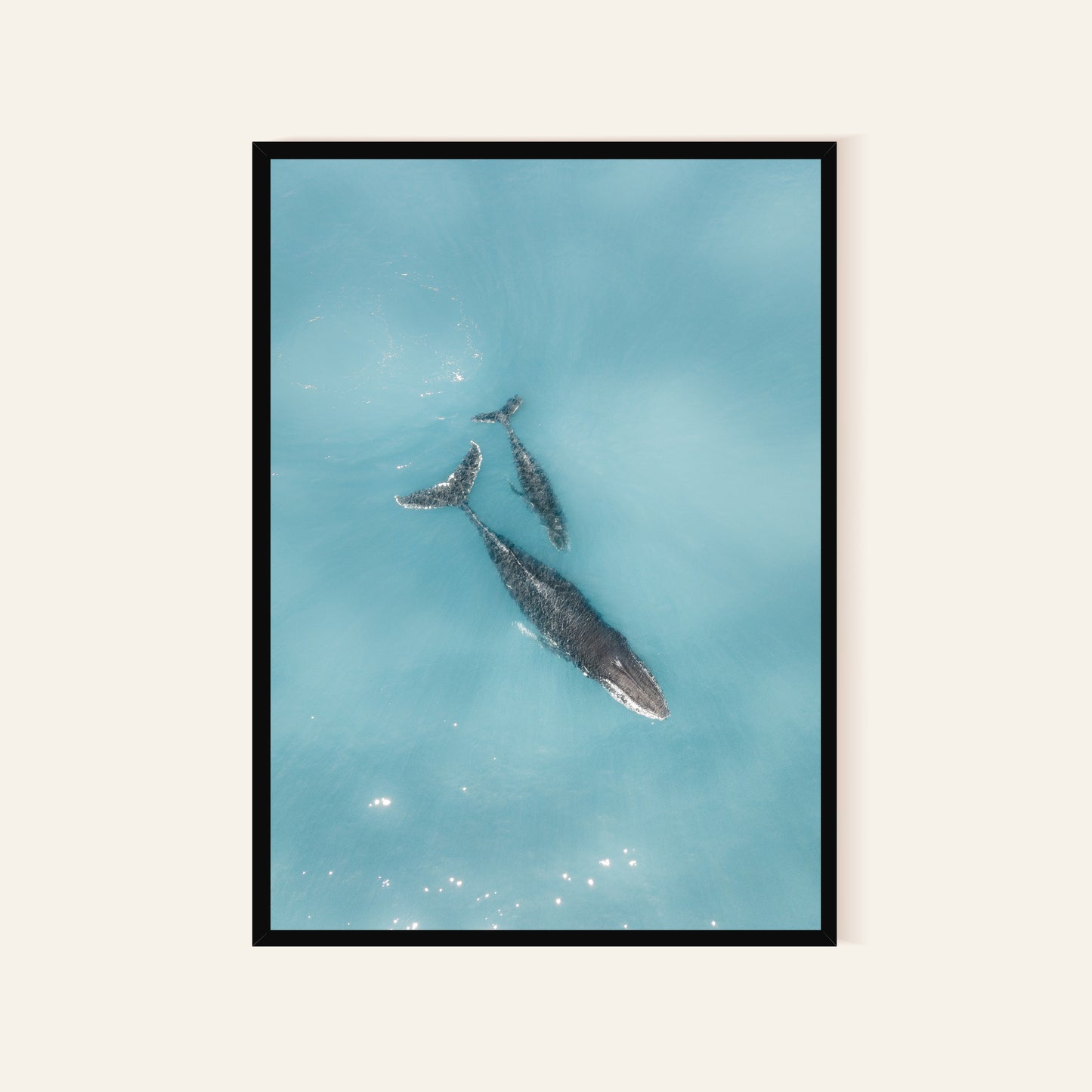 Whales