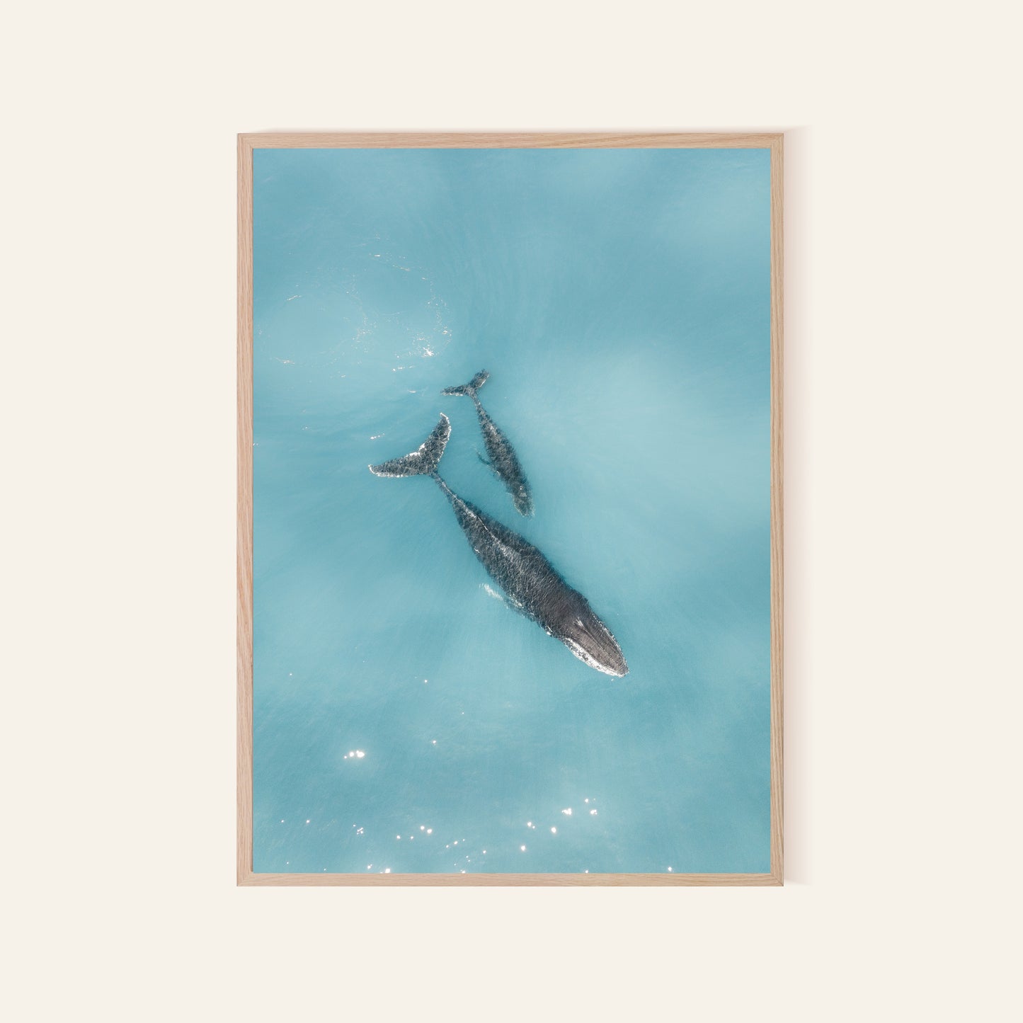 Whales