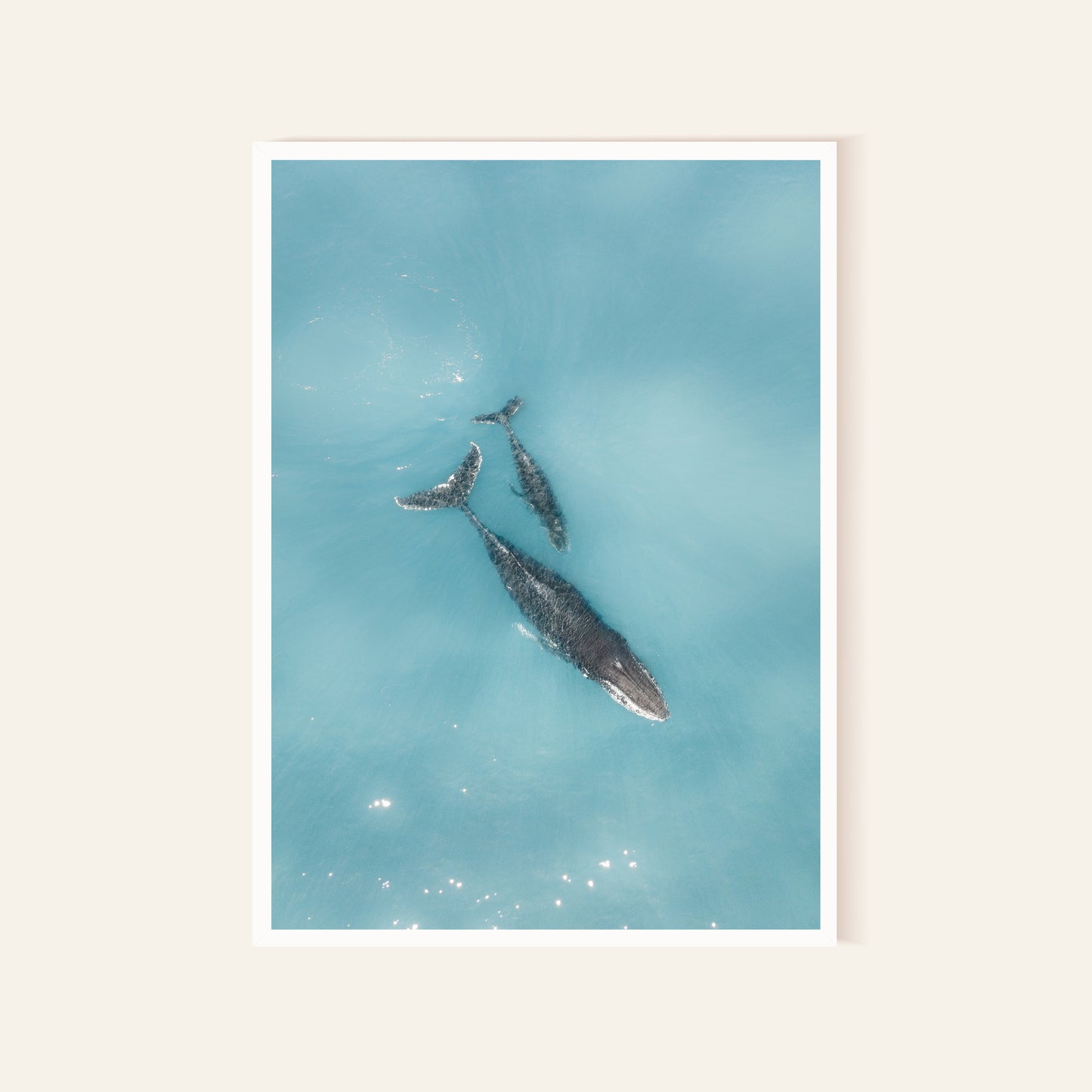 Whales